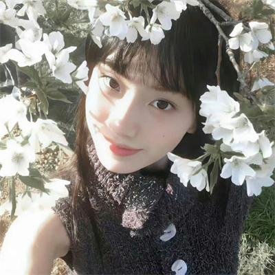 镜面奇情